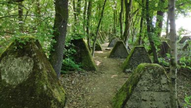 Reste des Westwalls am Orscholz-Riegel