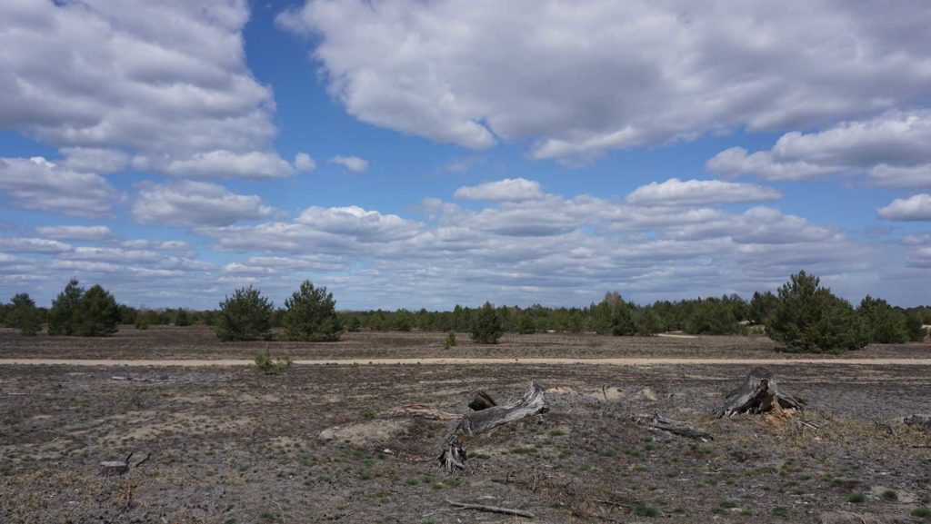 Truppenübungsplatz Jüterbog Naturschutzgebiet Forst Zinna Jüterbog-Keilberg Binnendüne