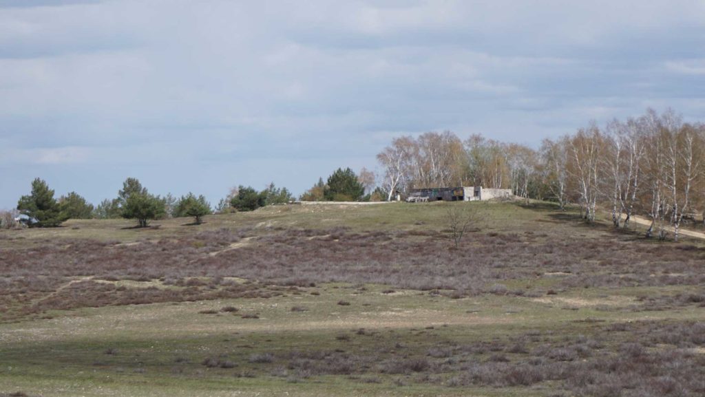 Truppenübungsplatz Jüterbog Naturschutzgebiet Forst Zinna Jüterbog-Keilberg Binnendüne