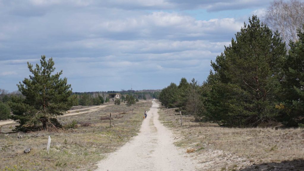 Truppenübungsplatz Jüterbog Naturschutzgebiet Forst Zinna Jüterbog-Keilberg Binnendüne